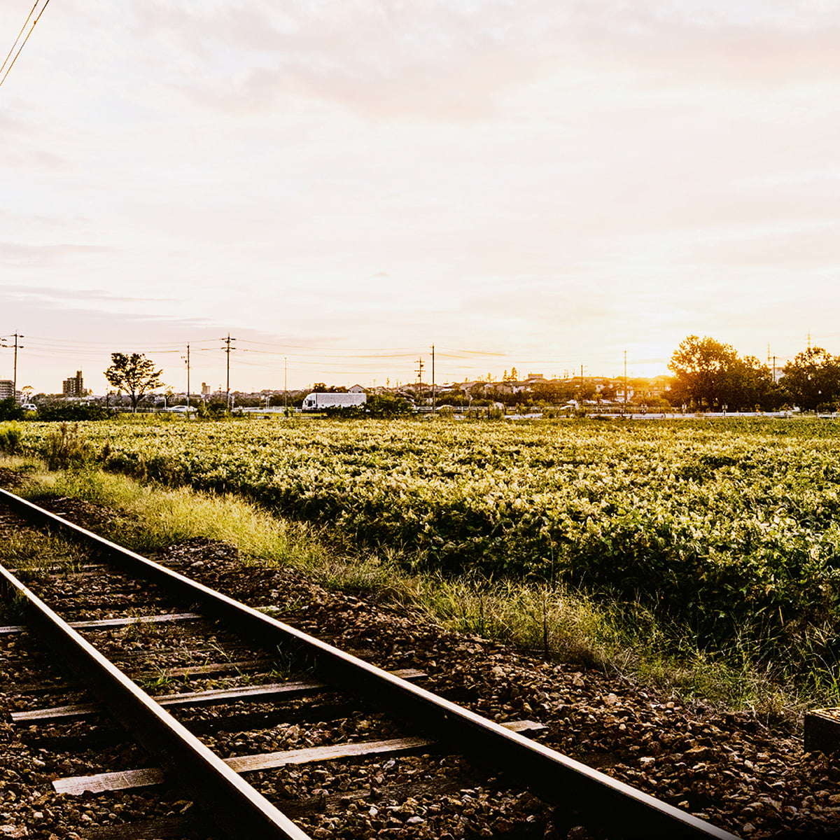 竹村駅から西周辺