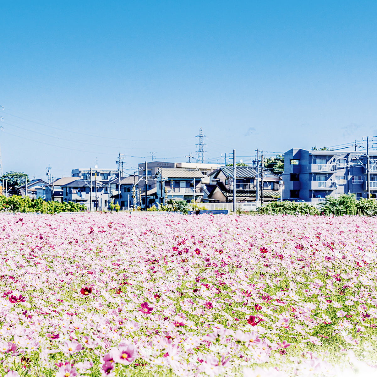 竹村駅から西周辺