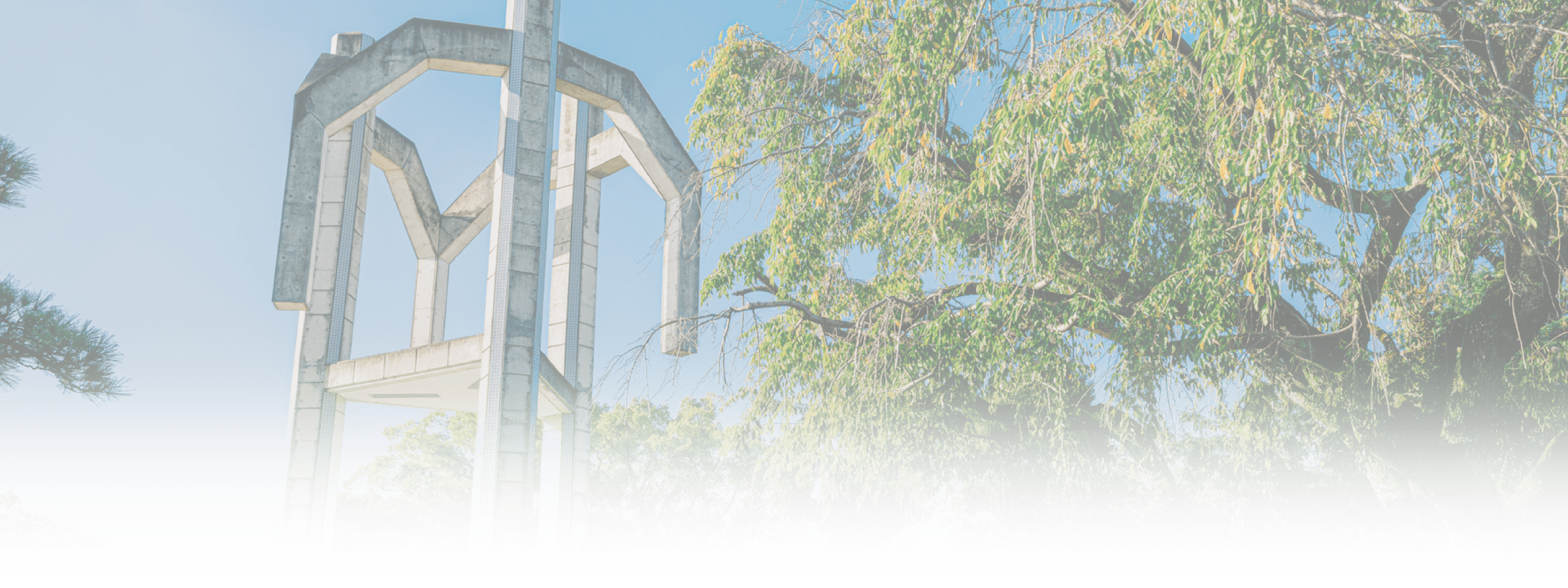 市立竹村小学校