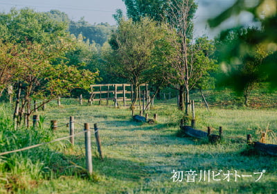 初音川ビオトープ