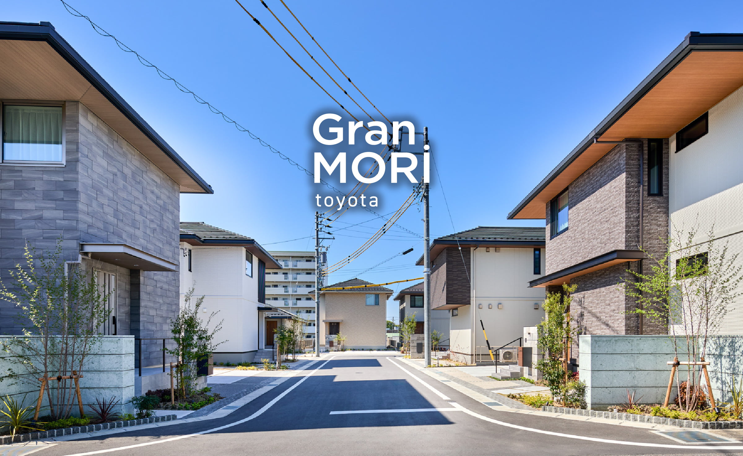GranMORi