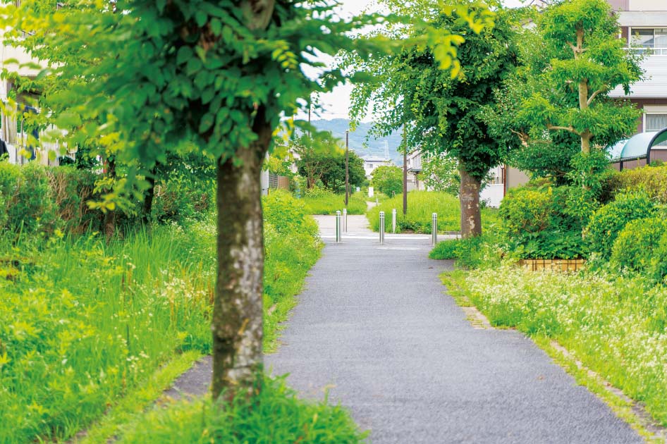 敷地南側の遊歩道