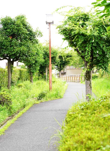 敷地南側の遊歩道