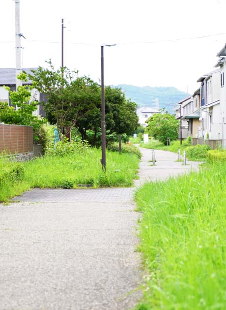 敷地南側の遊歩道