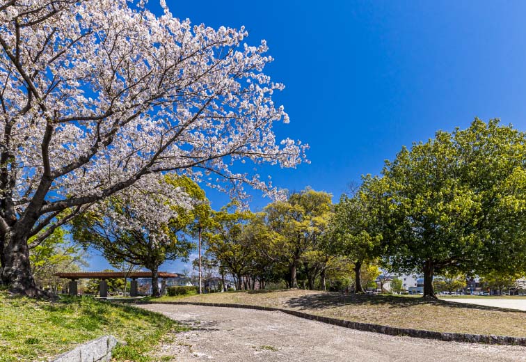 出川南公園