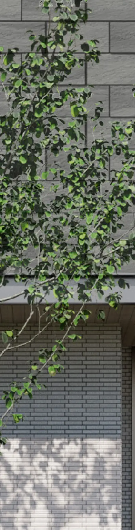 背景画像