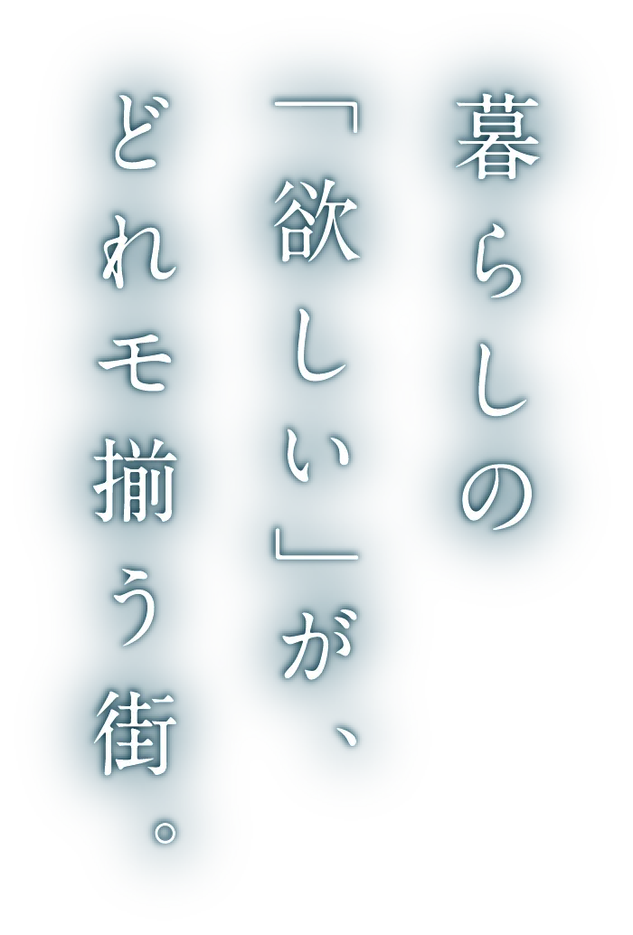 暮らしの「欲しい」が、どれモ揃う街。