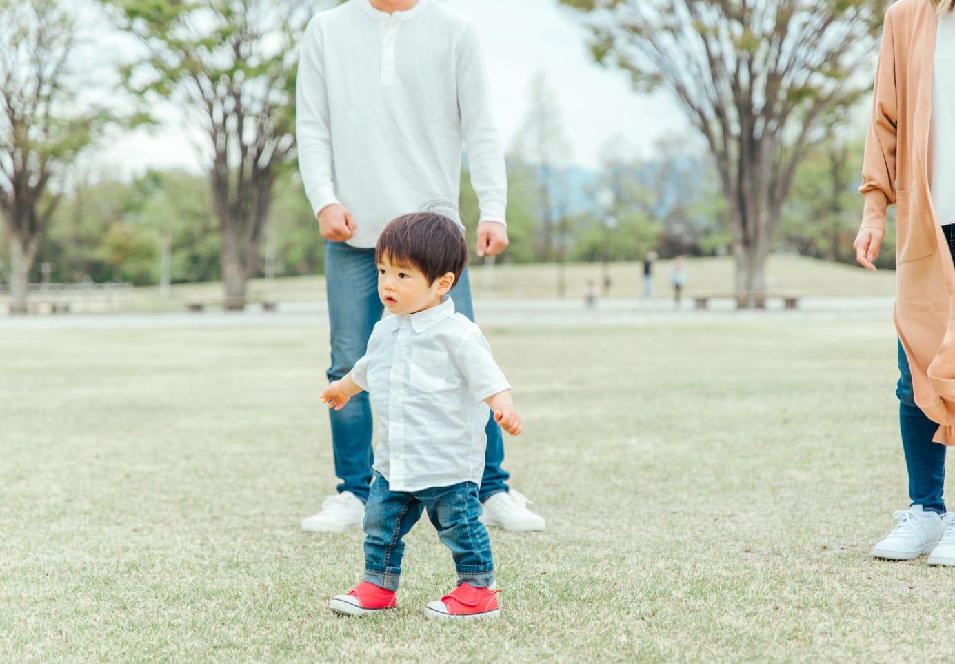 公園イメージ