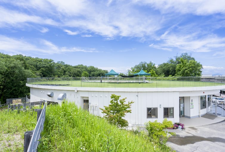 私立 もりの風こども園
