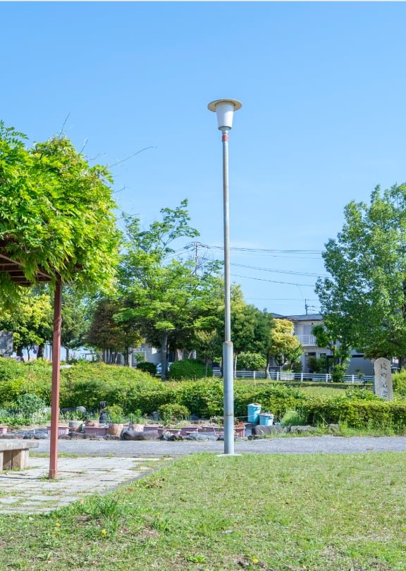 白鳥公園