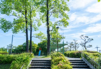 押草公園