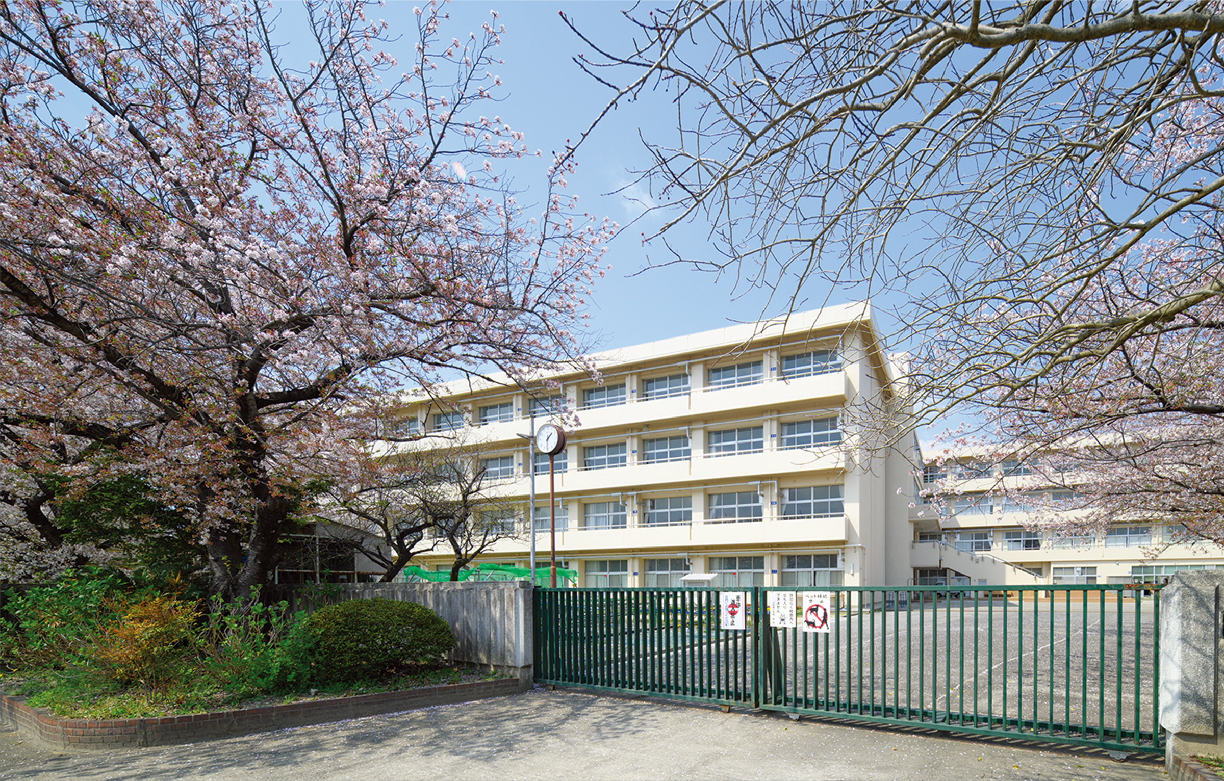 岡崎市立小豆坂小学校(約680m／徒歩9分）