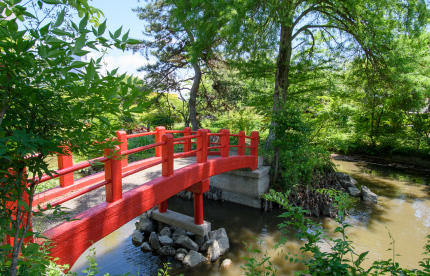 児ノ口公園