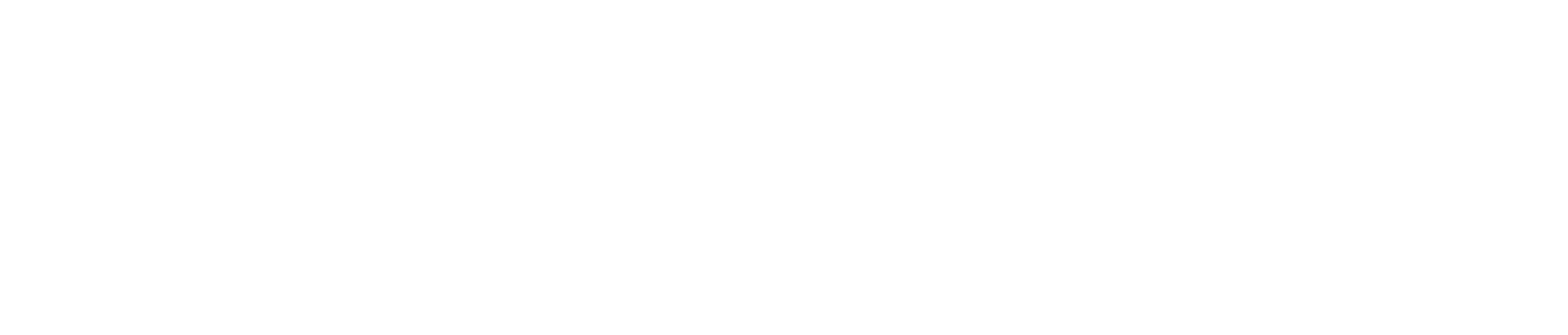 CAR LIFE