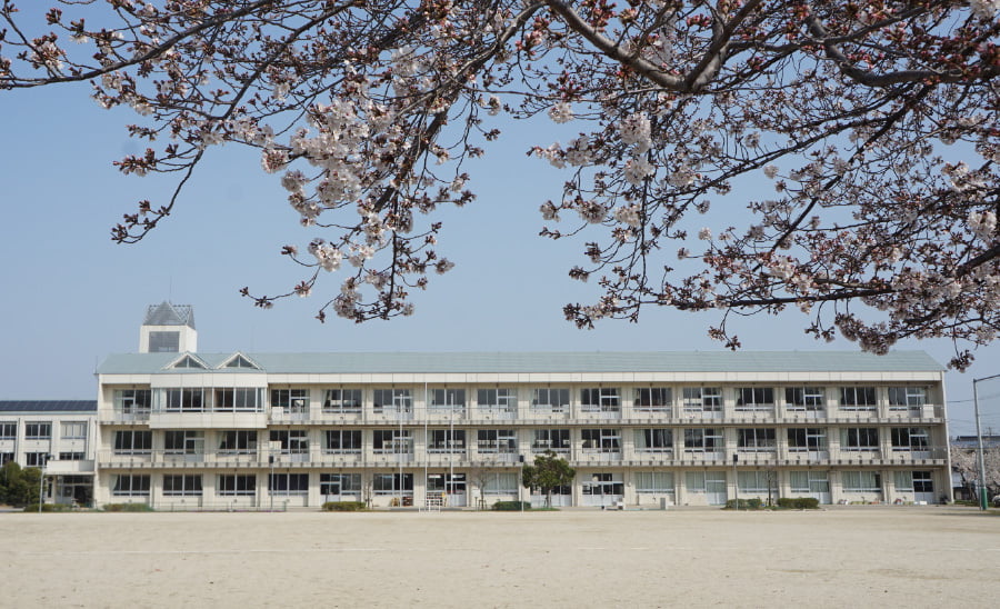 市立 挙母小学校