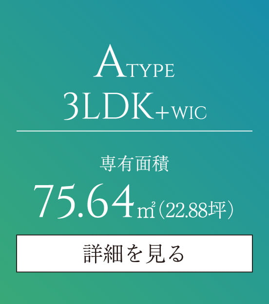 Atype