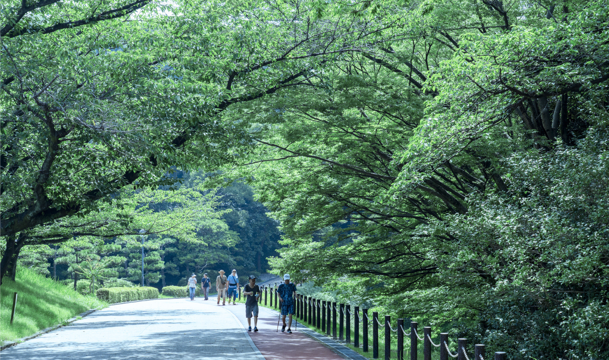 大池公園 徒歩27〜30分（約2,120〜2,350m）