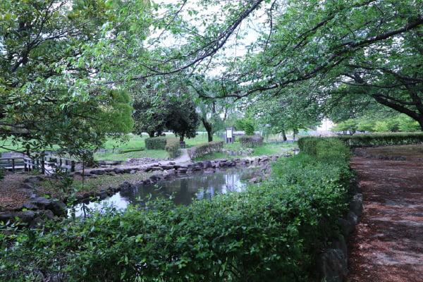 柳川瀬公園