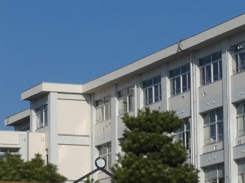 豊田市提供